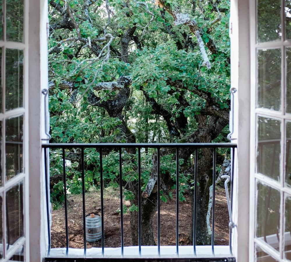 Bed and Breakfast Château Saint-Esprit à Draguignan Extérieur photo
